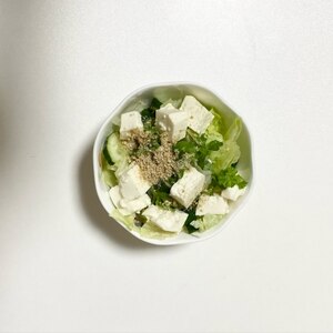 豆腐とレタスときゅうりのサラダ